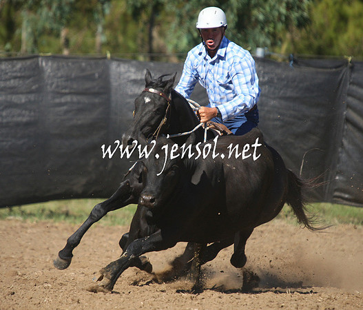 GundagaiGiddyup2013_1D_1355