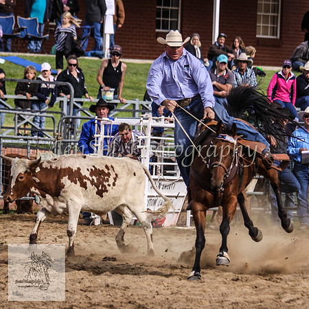 Cooma_Rodeo 401