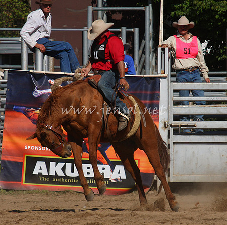 bobsun_0880_edited-1