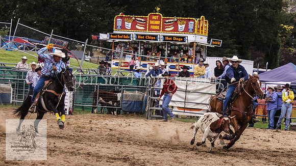 Cooma_Rodeo 090