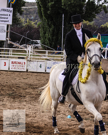 Cooma_Rodeo 635