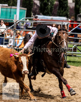 Cooma_Rodeo 059
