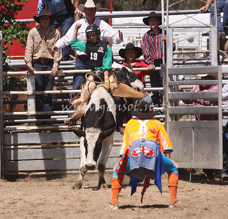 bobsun_1065_edited-1