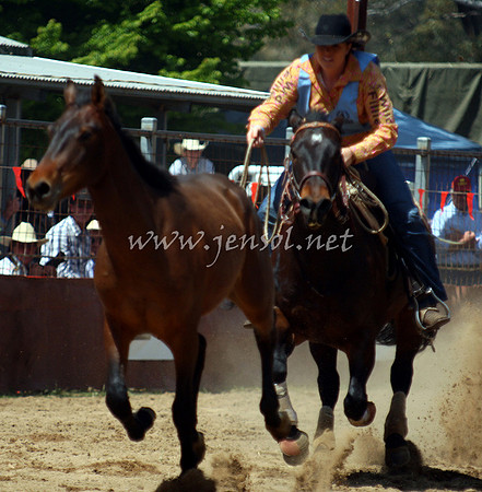 bobsun_0400_edited-1