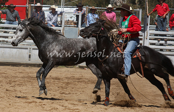 bobsun_0571_edited-1