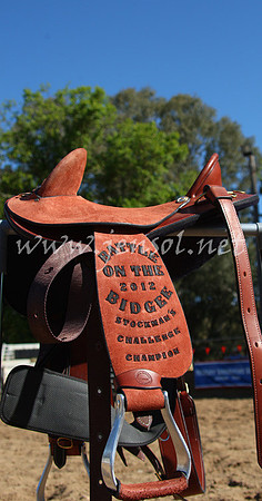 bobsun_0893_edited-1