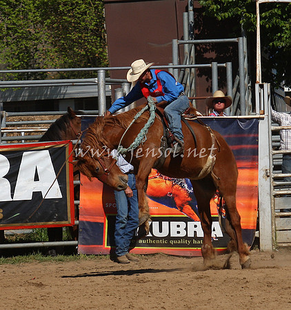 bobsun_0751_edited-1