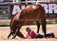 bobsun_1019_edited-1