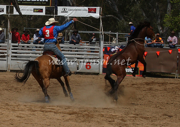 bobsun_0540_edited-1