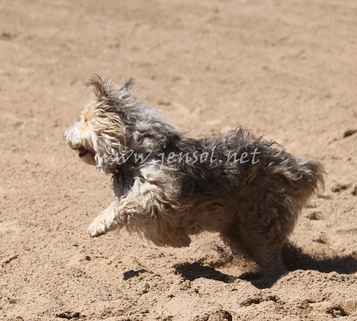 bobsun_1001_edited-1
