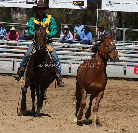 bobsun_0611_edited-1
