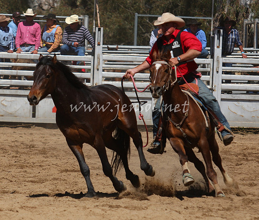 bobsun_0594_edited-1