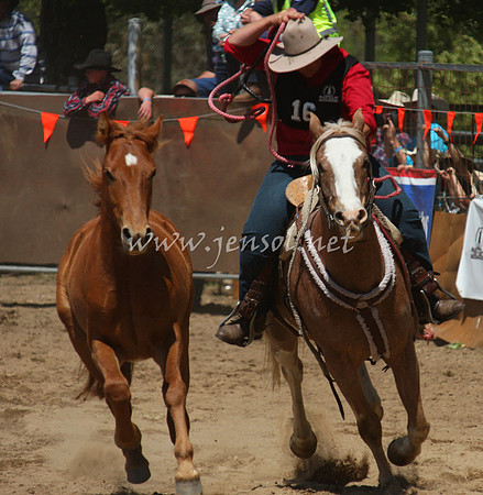 bobsun_0380_edited-1