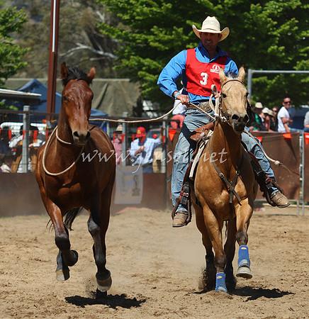 bobsun_0551_edited-1