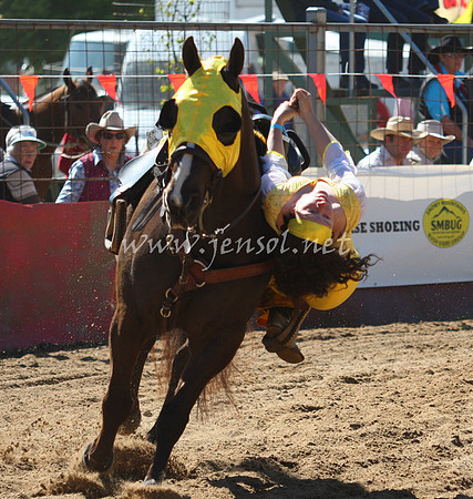 bobsun_0007_edited-1