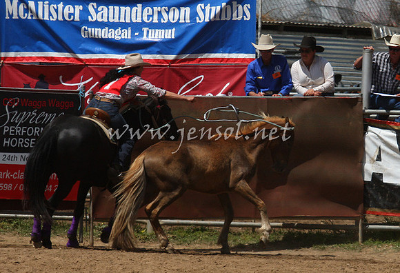 bobsun_0292_edited-1