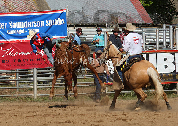 bobsun_0767_edited-1
