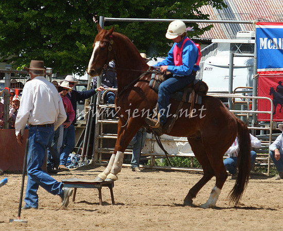 bobsun_0203_edited-1