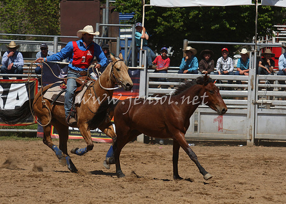 bobsun_0533_edited-1