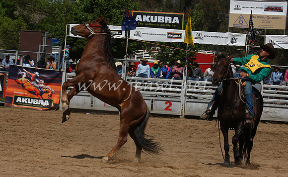 bobsun_0619_edited-1