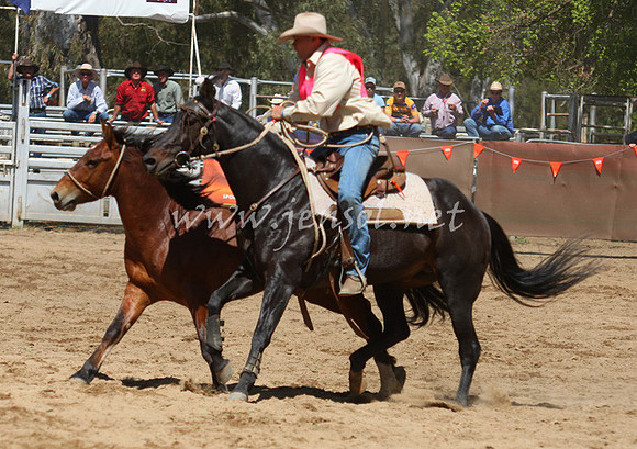 bobsun_0493_edited-1