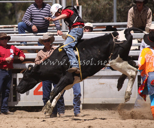 bobsun_1051_edited-1