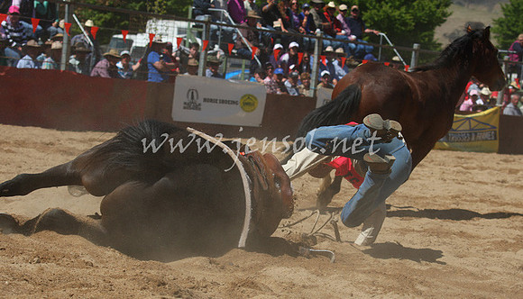 bobsun_0464_edited-1