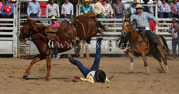bobsun_0839_edited-1