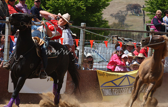 bobsun_0307_edited-1