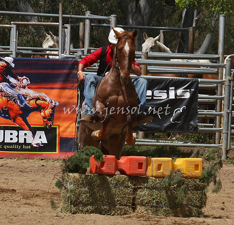 bobsun_0275_edited-1