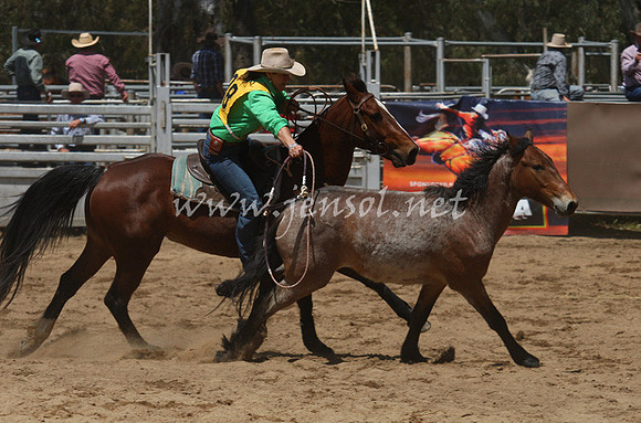 bobsun_0336_edited-1