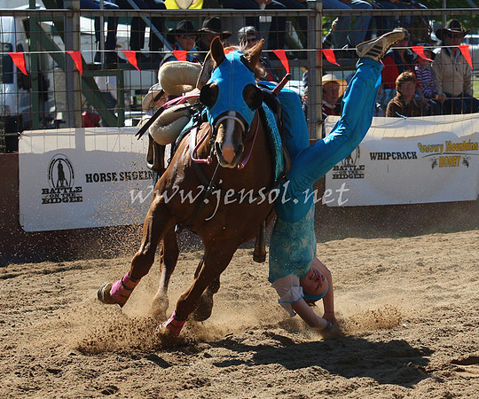 bobsun_0014_edited-1