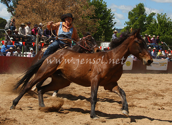 bobsun_0402_edited-1