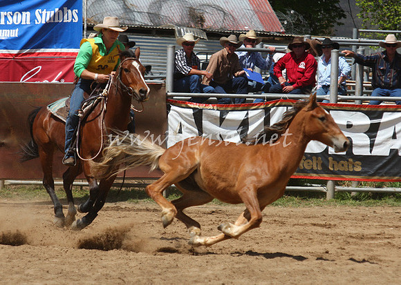 bobsun_0327_edited-1