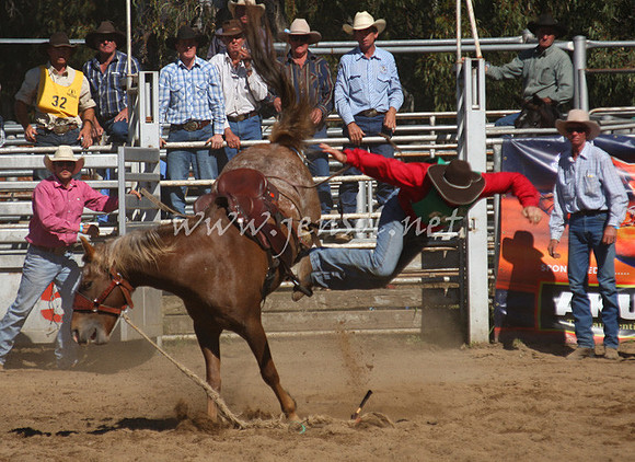 bobsun_0748_edited-1