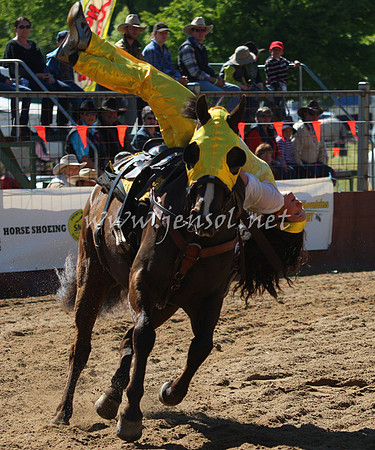 bobsun_0018_edited-1