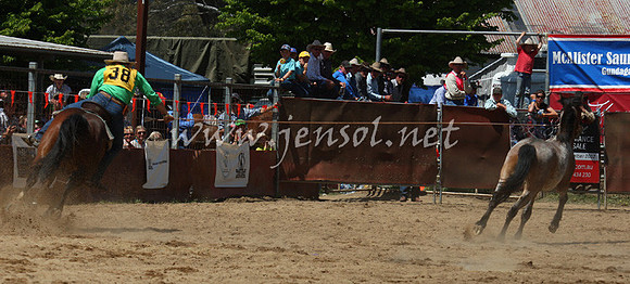 bobsun_0365_edited-1