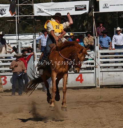 bobsun_0733_edited-1