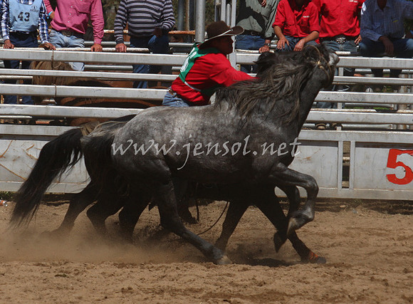 bobsun_0567_edited-1