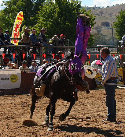 bobsun_0022_edited-1