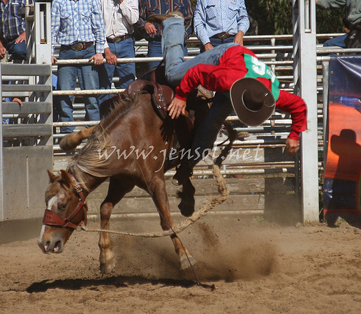 bobsun_0749_edited-1