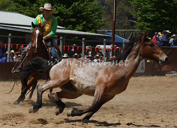 bobsun_0331_edited-1