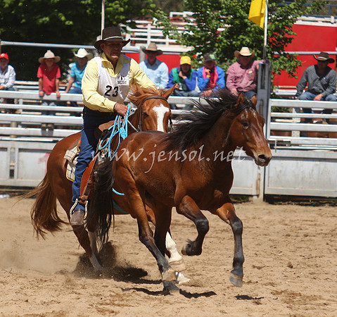 bobsun_0513_edited-1