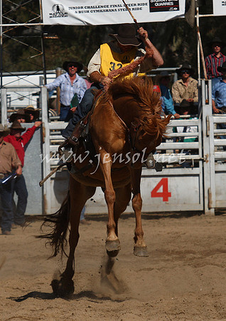 bobsun_0734_edited-1