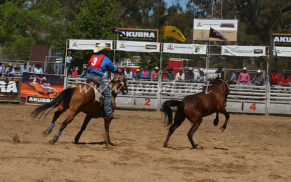 bobsun_0539_edited-1