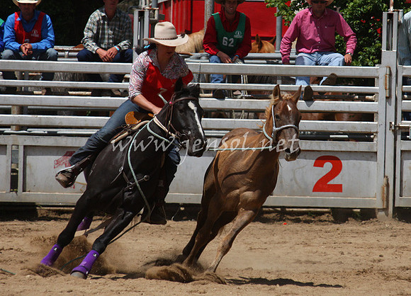 bobsun_0325_edited-1