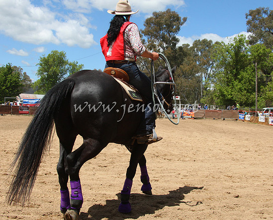 bobsun_0286_edited-1