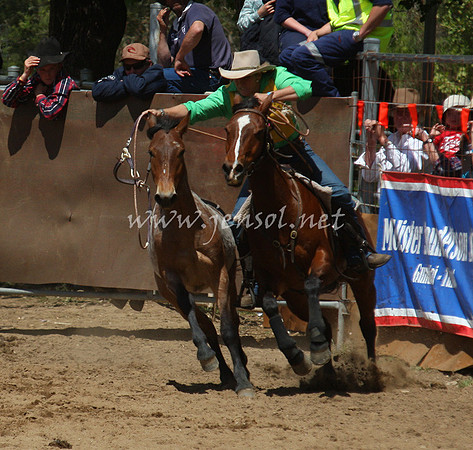 bobsun_0348_edited-1