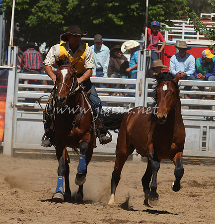 bobsun_0665_edited-1