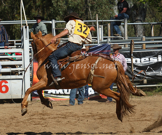 bobsun_0727_edited-1